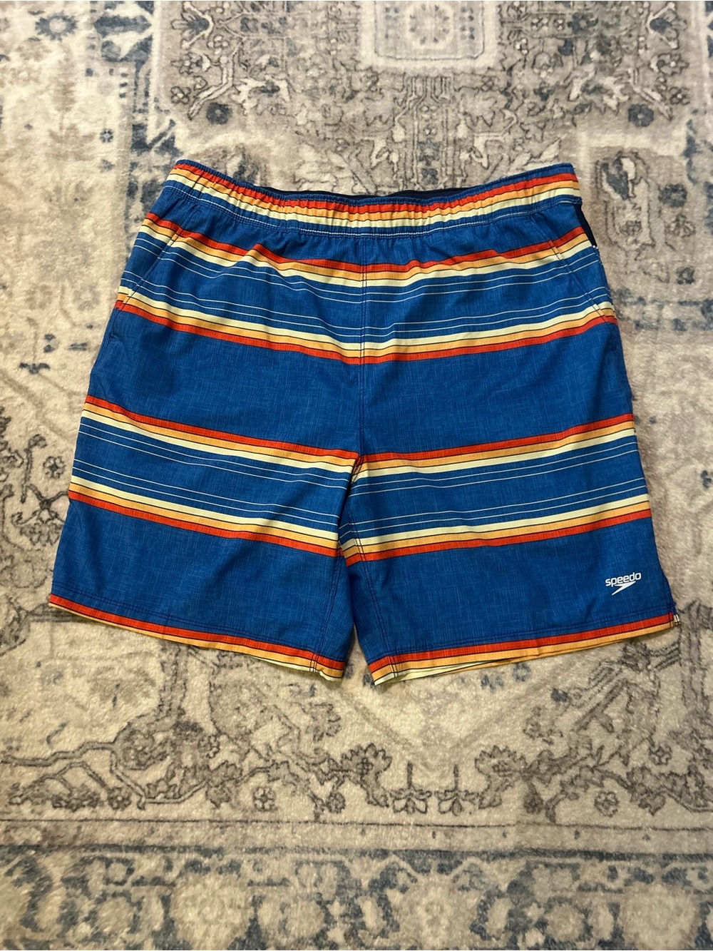 Speedo Men’s Blue Striped Swim Shorts